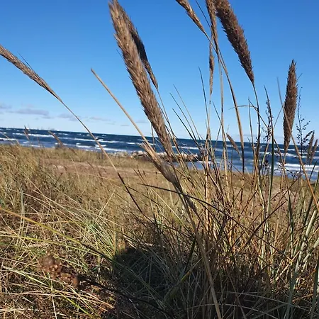 Gundula - 1-3km From The Sea By Interhome Feriehus Sæby